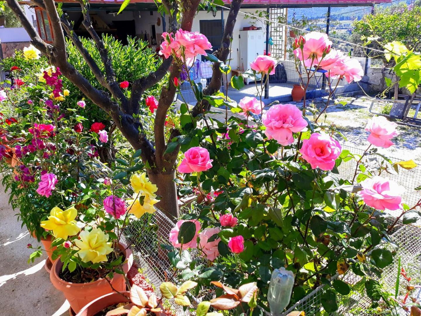 4 Seasons Suites Paradise Near Athens Airport 2 Markópoulon المظهر الخارجي الصورة